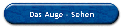 Das Auge - Sehen