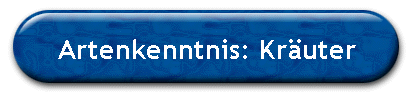 Artenkenntnis: Kr�uter