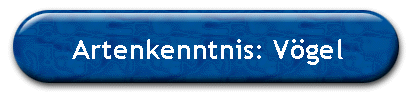 Artenkenntnis: V�gel