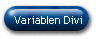 Variablen Divi