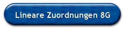 Lineare Zuordnungen 8G